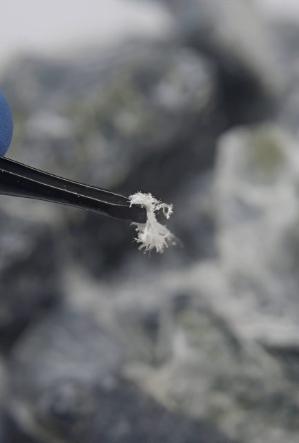 Close-up of asbestos fibres extracted from a material sample during a professional asbestos survey in Surrey